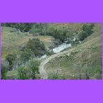 River View From Camper.jpg